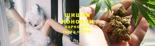 2c-b Краснослободск