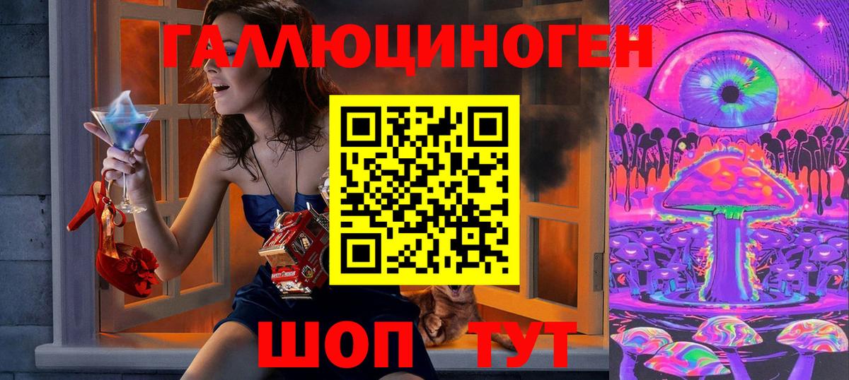 Псилоцибиновые грибы Psilocybe  Вход с VPN  Ульяновск 