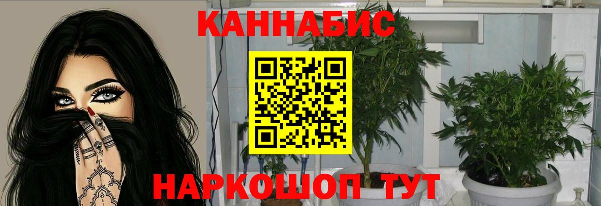 Ульяновск  Бошки Шишки ГИДРОПОН  МАРИХУАНА план  Вход с VPN 